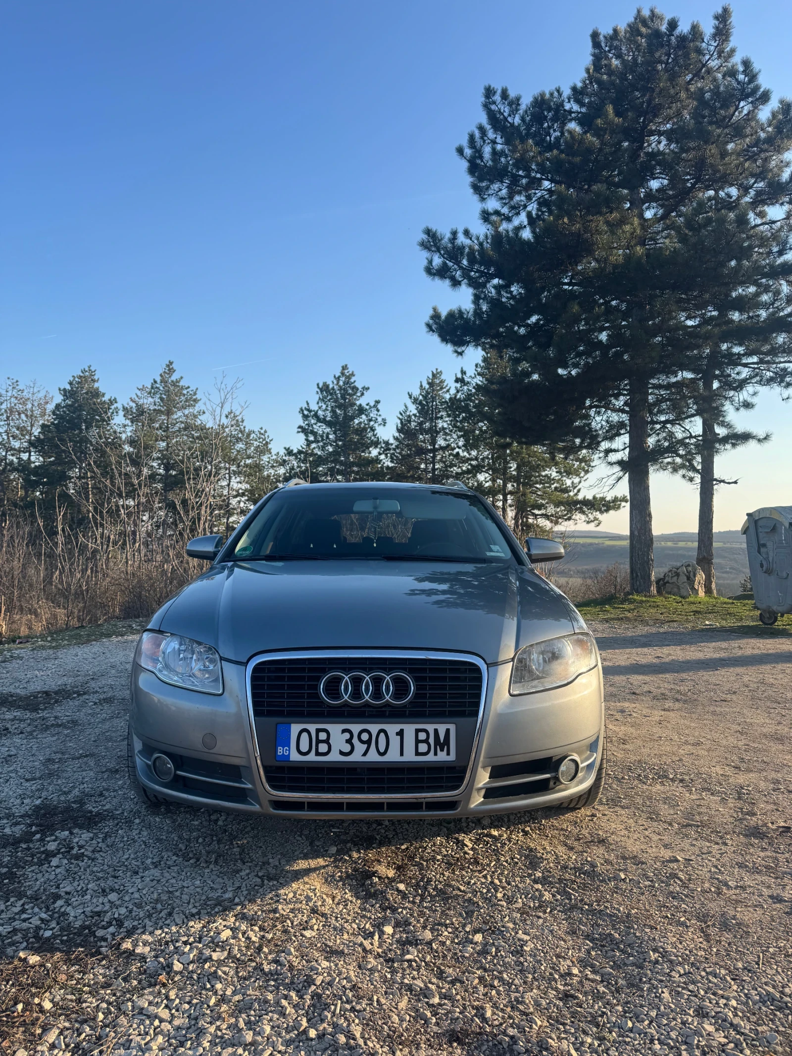 Audi A4 B7, снимка 2 - Автомобили и джипове - 53750004