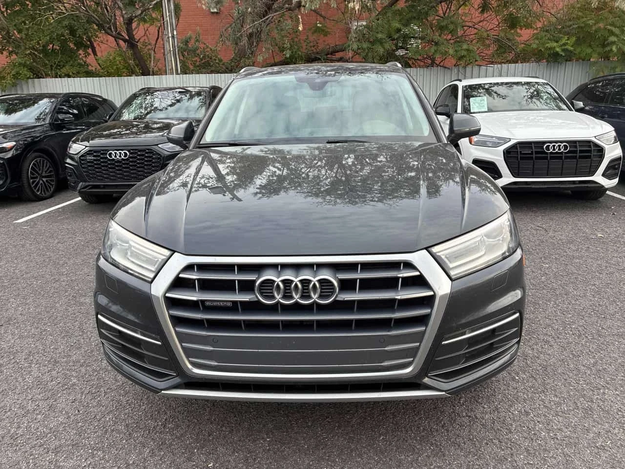 Audi Q5 * Komfort * CARFAX * ������ ���������������� *  | Mobile.bg � ����������� 3