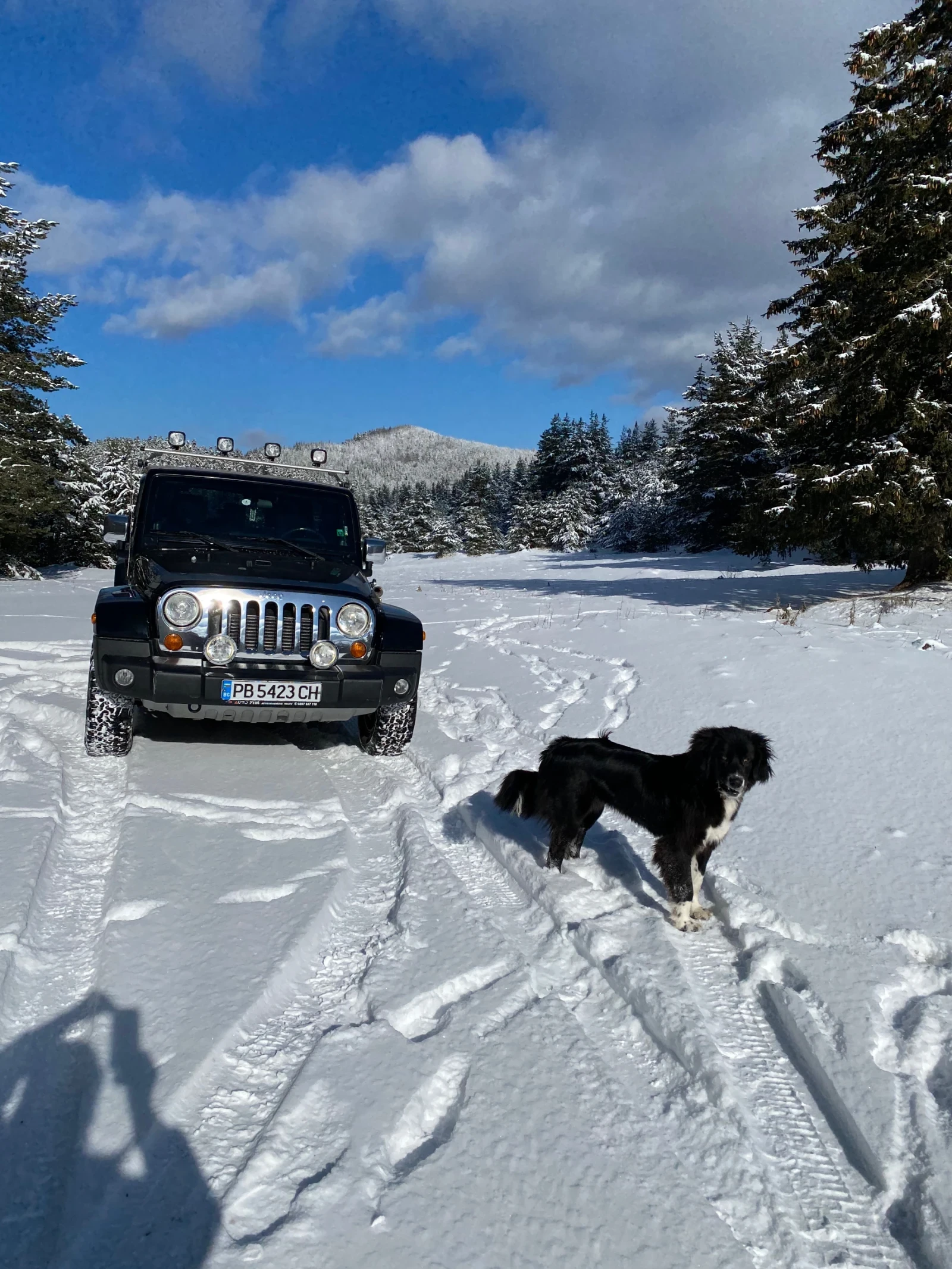 Jeep Wrangler Sahara | Mobile.bg � ����������� 16
