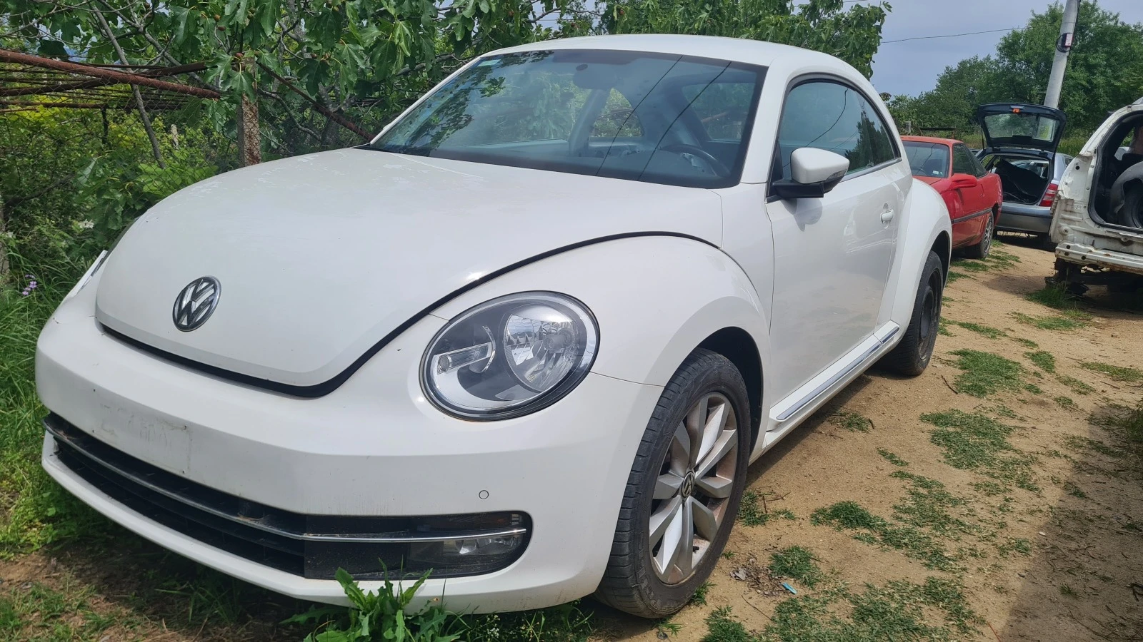 VW New beetle 1.6tdi | Mobile.bg   1
