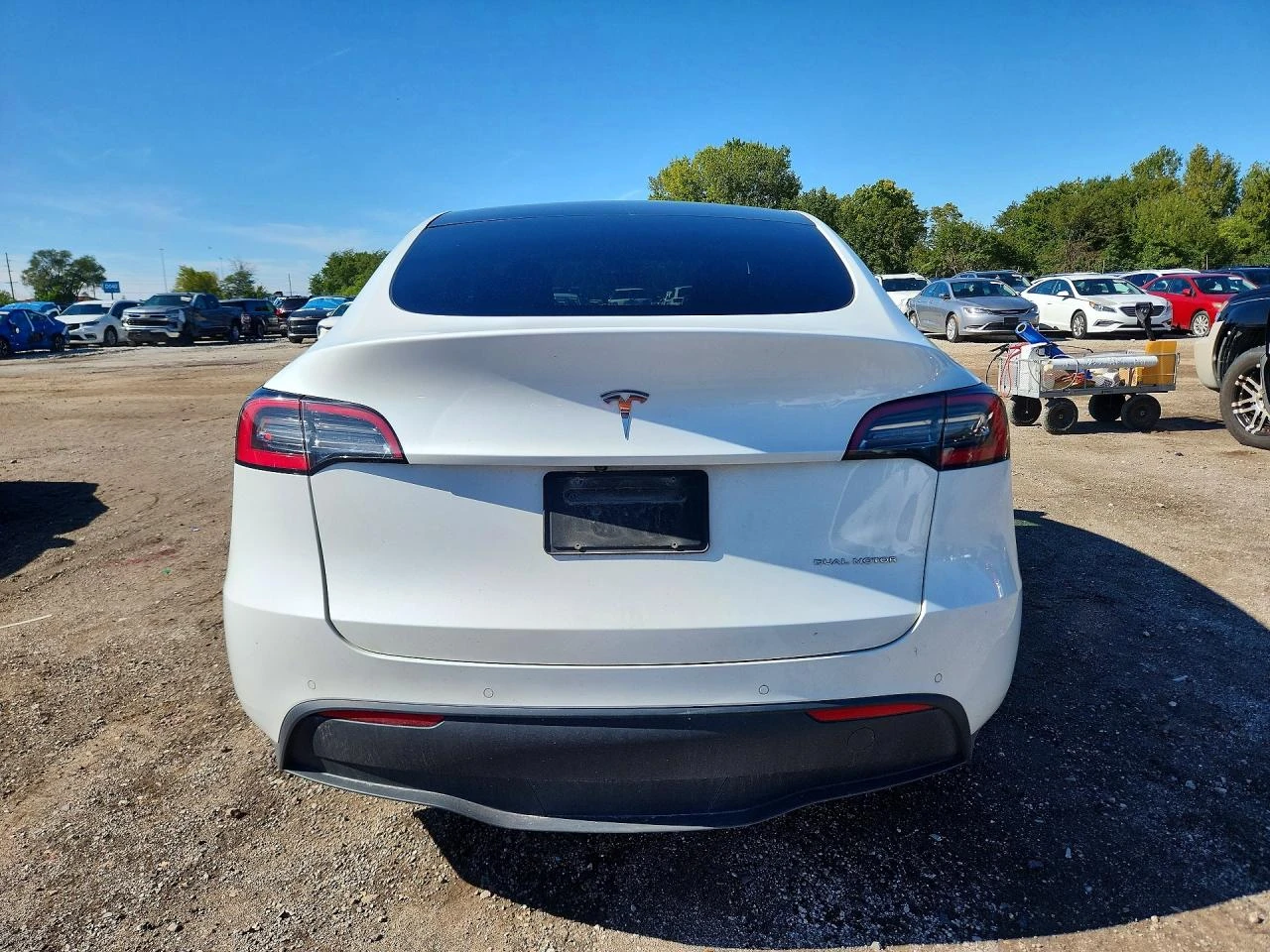 Tesla Model Y Long Range Dual Motor * ������� ���� *  | Mobile.bg � ����������� 3