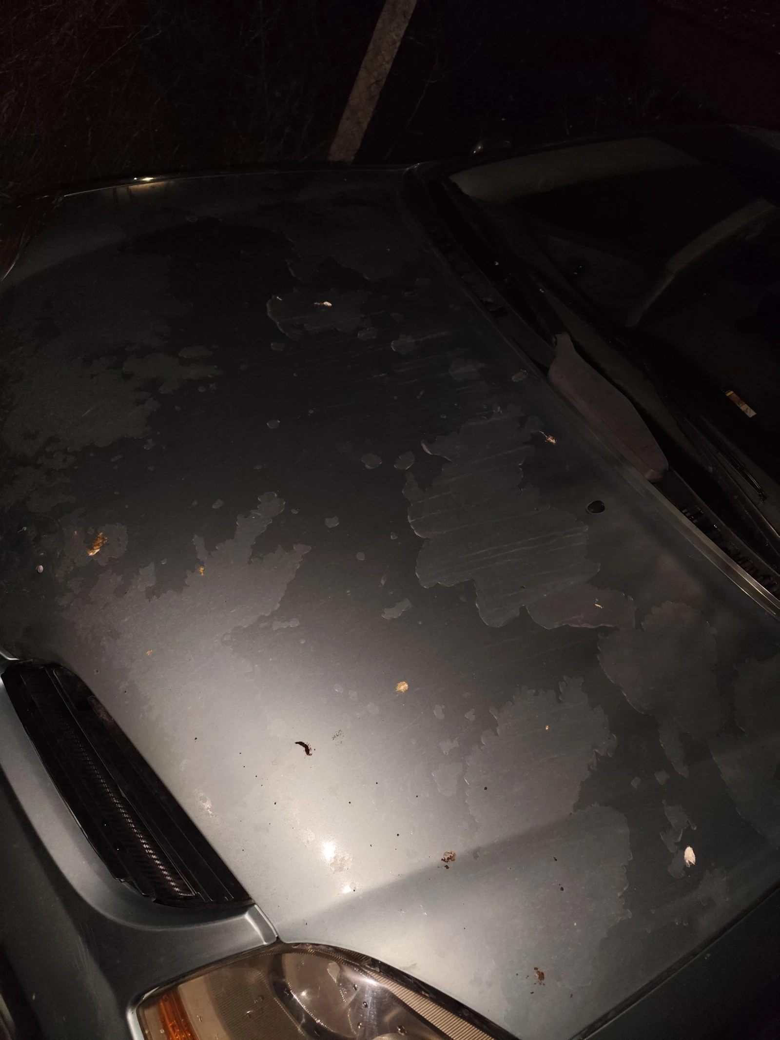 Nissan Almera tino | Mobile.bg   2