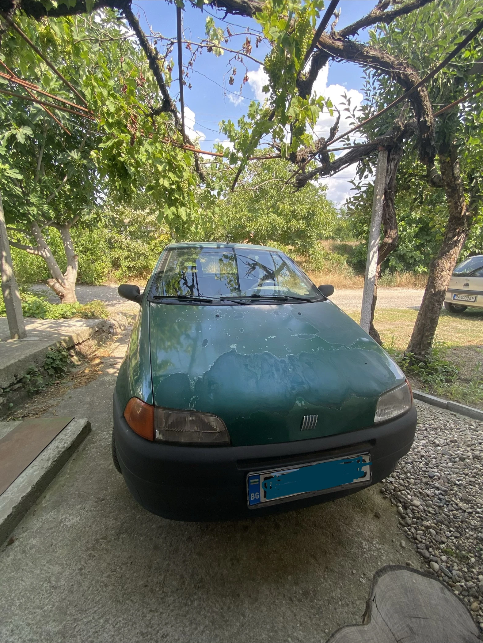 Fiat Punto