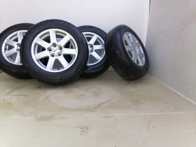 ������ ������