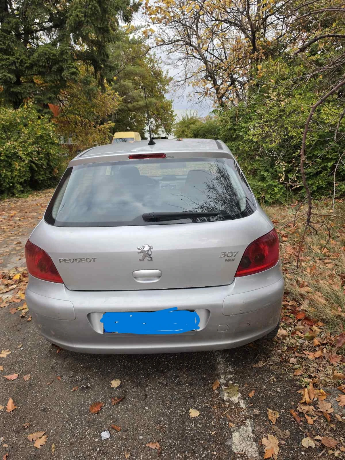 Peugeot 307