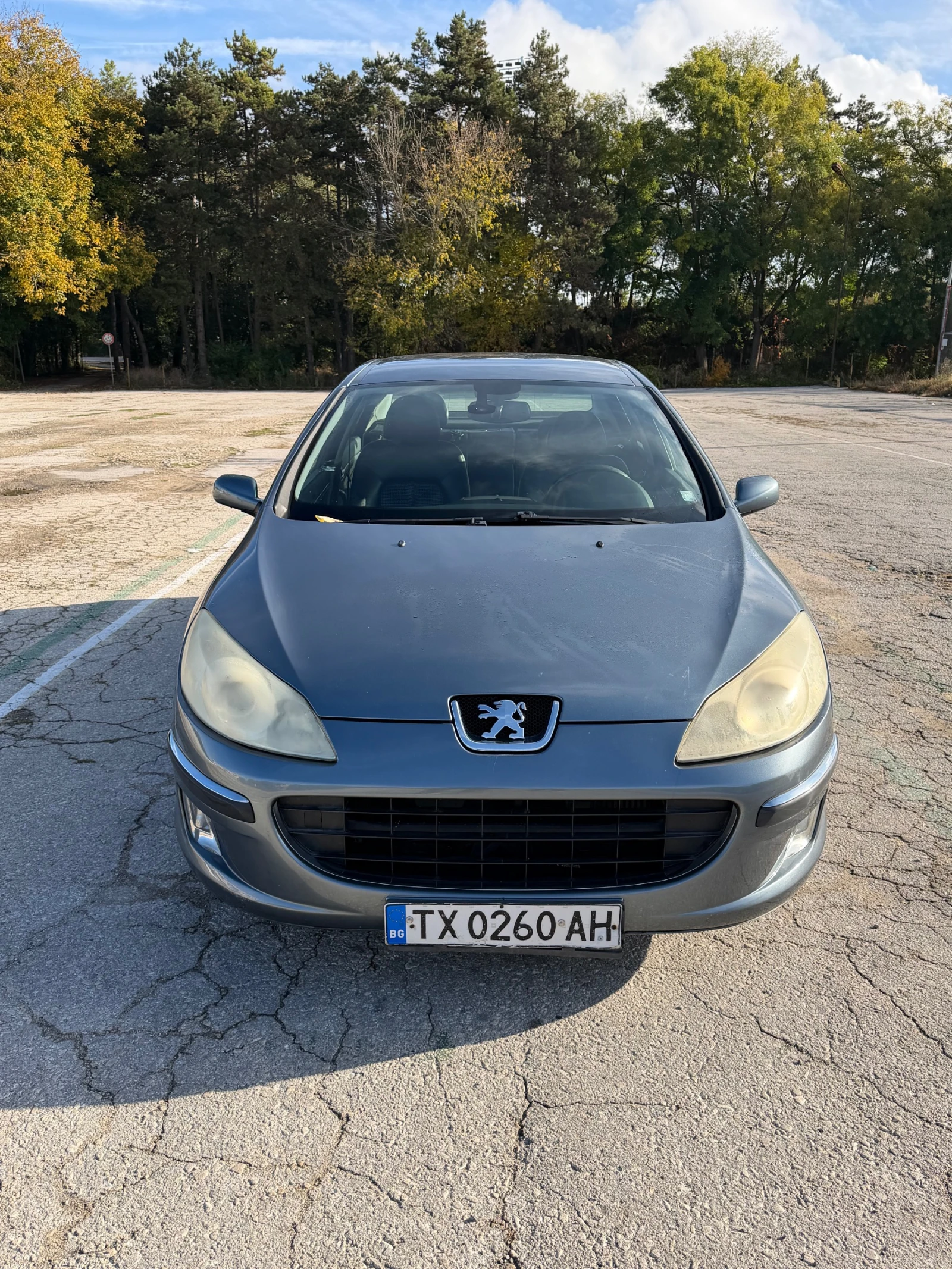 Peugeot 407 2.0 HDI, снимка 10 - Автомобили и джипове - 56742374