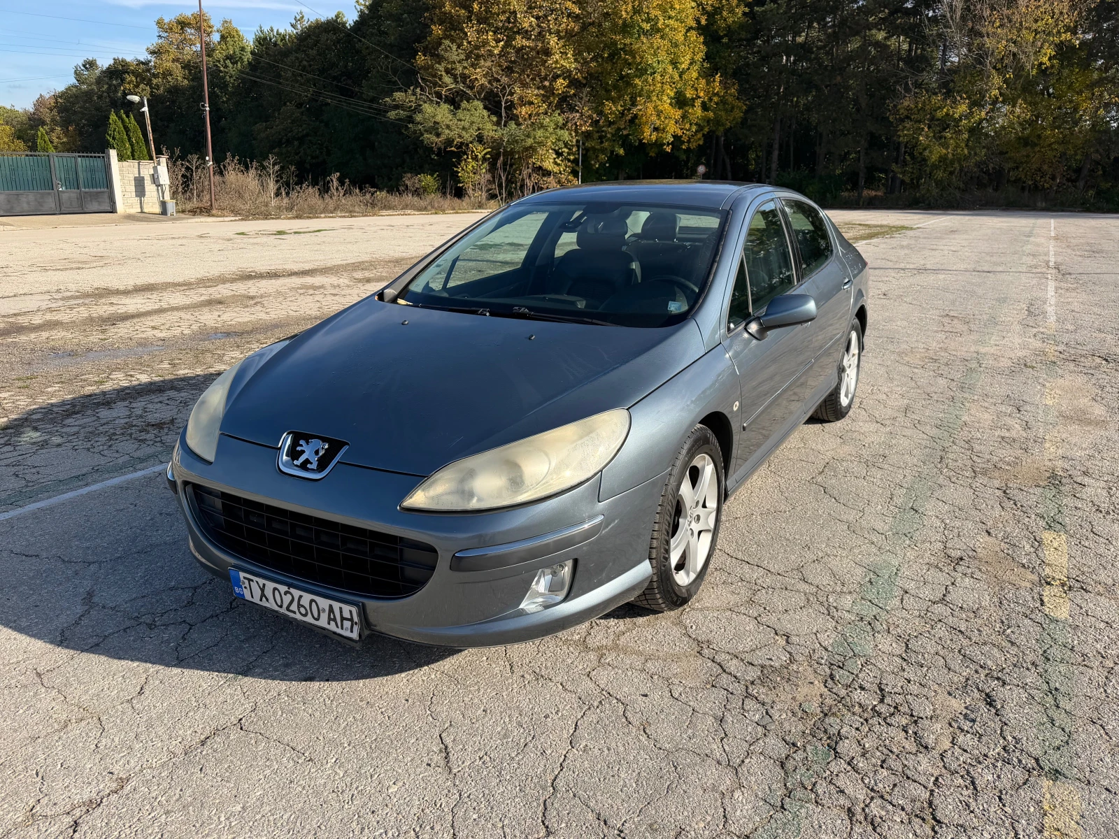 Peugeot 407 2.0 HDI