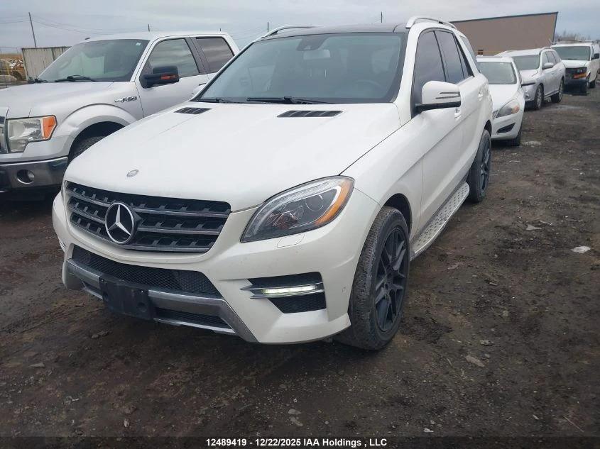 Mercedes-Benz ML 350 Bluetec* 2ключа* Harman Kardon* Пано* AMG - изображение 2