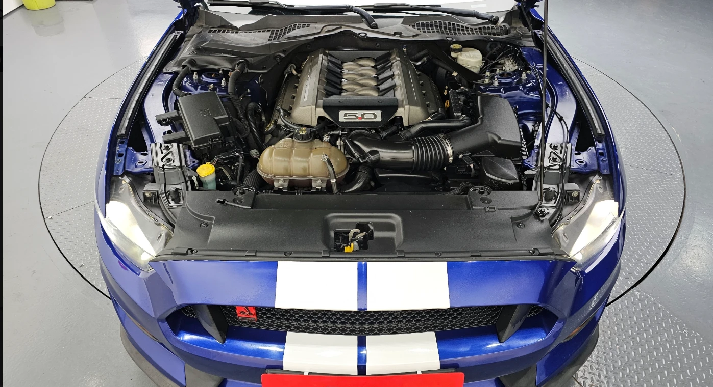 Ford Mustang SHELBY PACKAGE, снимка 5 - Автомобили и джипове - 54409993