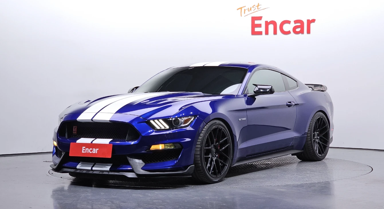 Ford Mustang SHELBY PACKAGE