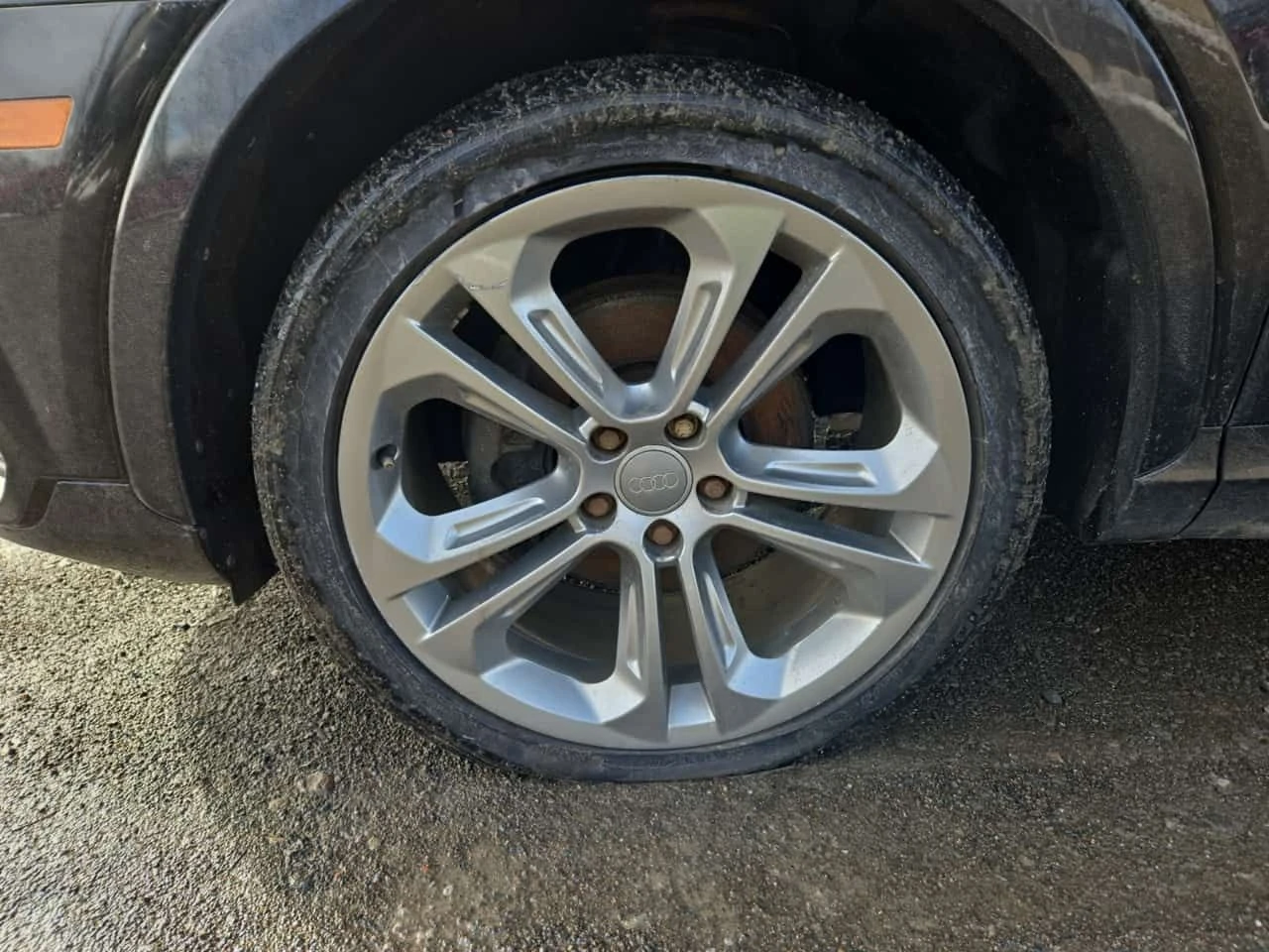 Audi Q3 * PROGRESSIV * CARFAX * БЕЗ ПЪРВОНАЧАЛНА ВНОСКА, снимка 6 - Автомобили и джипове - 54132954