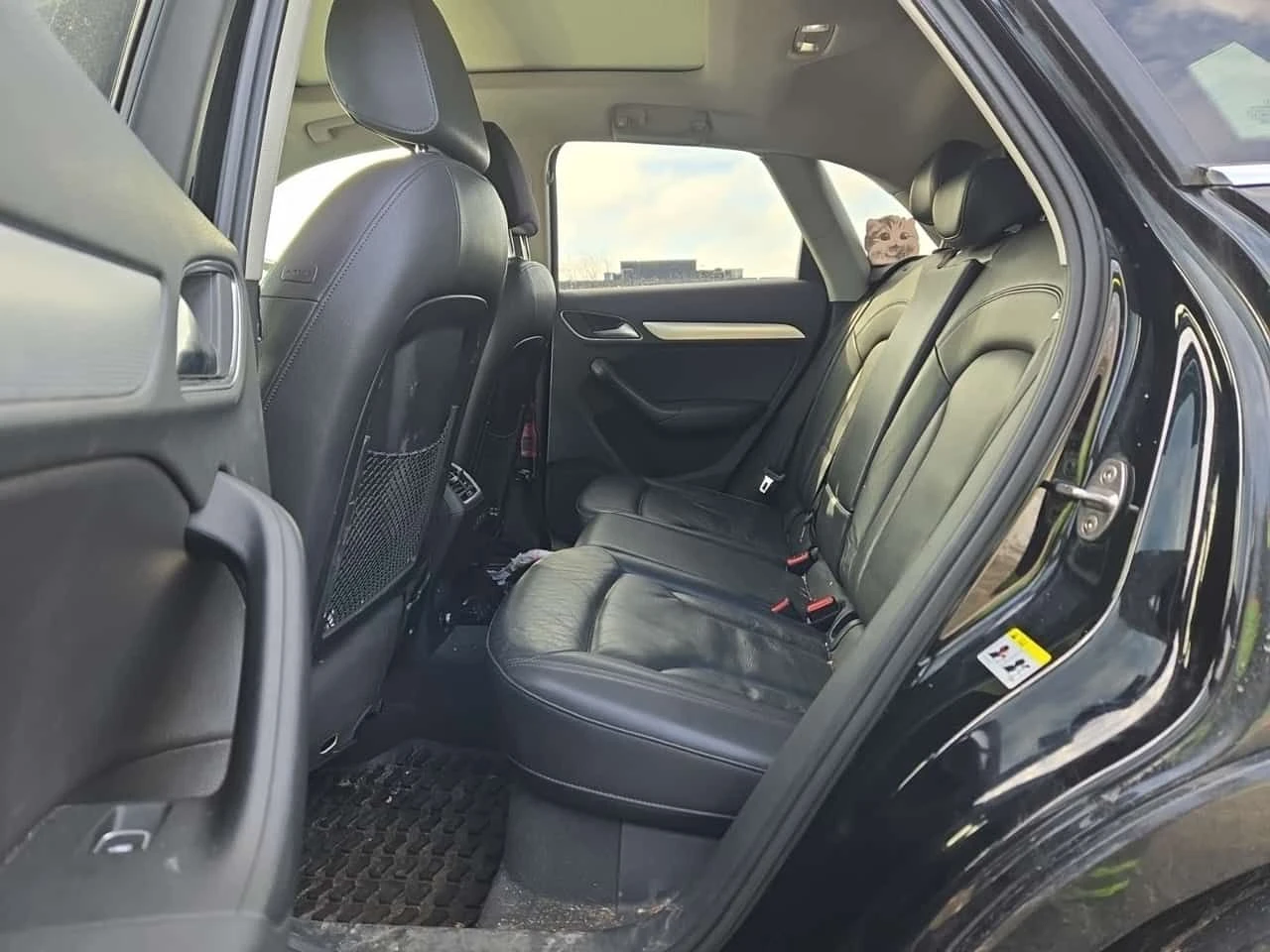 Audi Q3 * PROGRESSIV * CARFAX * БЕЗ ПЪРВОНАЧАЛНА ВНОСКА, снимка 12 - Автомобили и джипове - 54132954