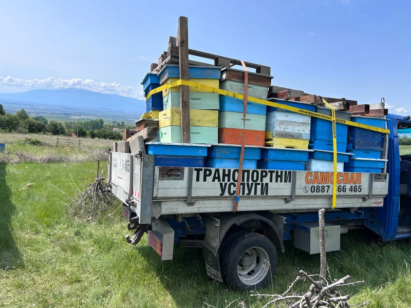 Mercedes-Benz Sprinter 416 2.7cdi 156к.с. 5 цилиндров, снимка 12 - Бусове и автобуси - 52942757