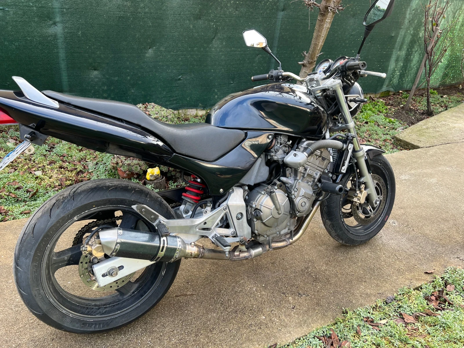 Honda Hornet  - изображение 5