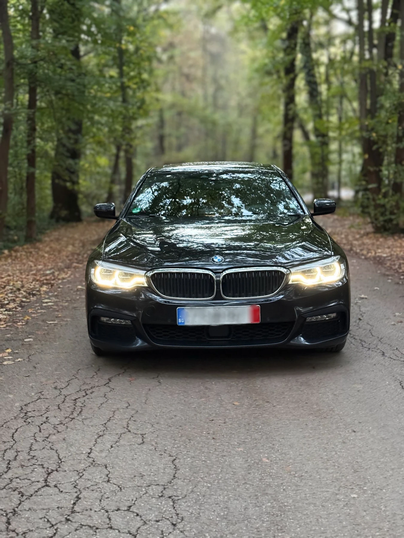 BMW 530 BMW 530 X Drive M-PACK | Mobile.bg   5