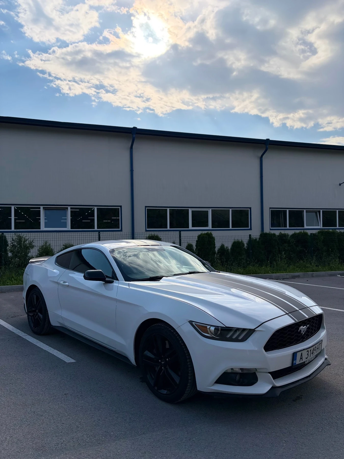 Ford Mustang 2.3 EcoBoost  Performance pack Full ! !, снимка 3 - Автомобили и джипове - 54795184