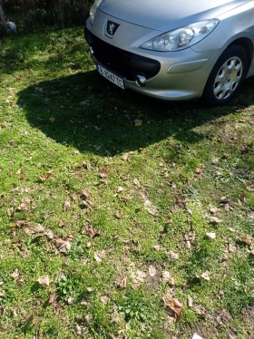 Peugeot 307, снимка 7