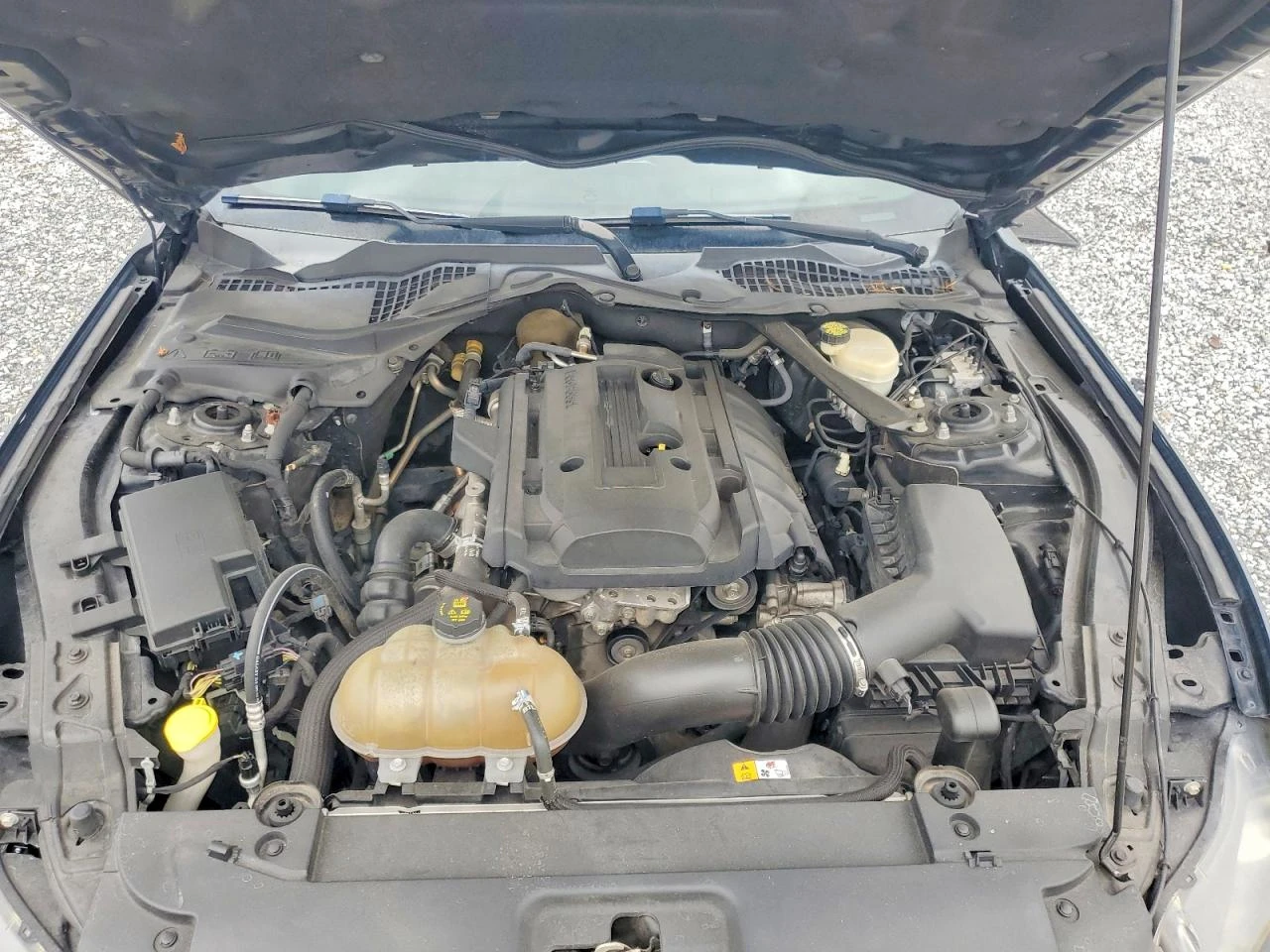 Ford Mustang 2.3 ECOBOOST| ����| �������| ���������| ��� ������ | Mobile.bg � ����������� 11
