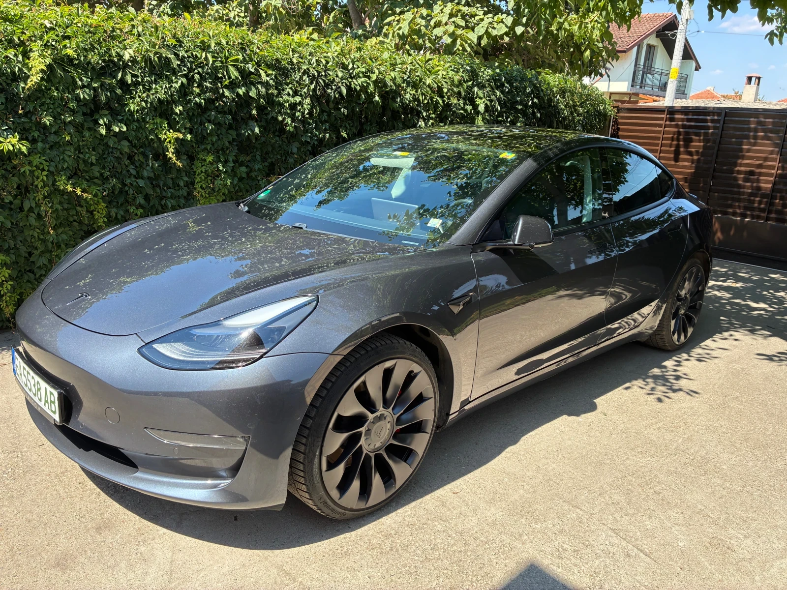 Tesla Model 3 Face performance - изображение 2