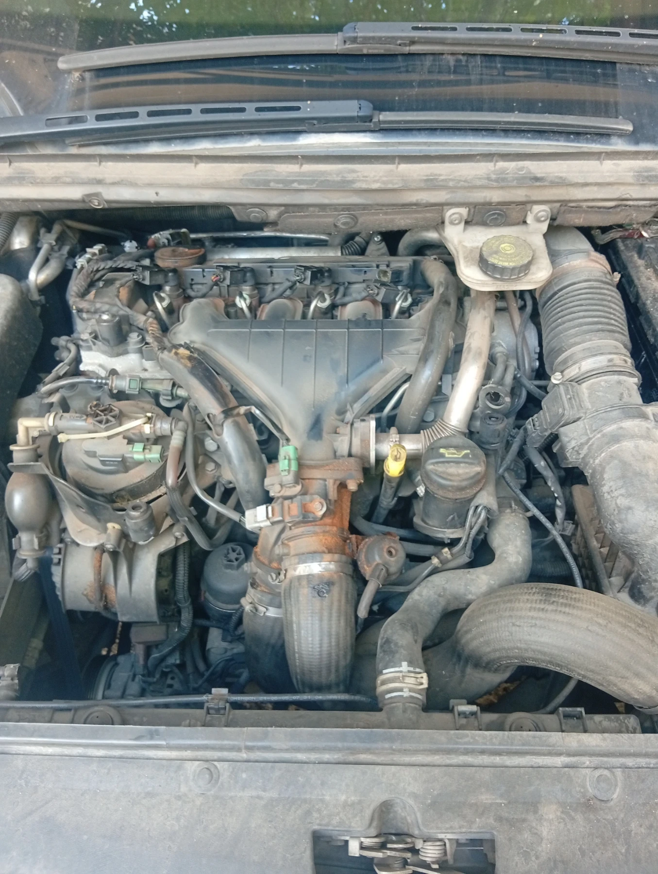 Peugeot 307, снимка 11 - Автомобили и джипове - 35976105