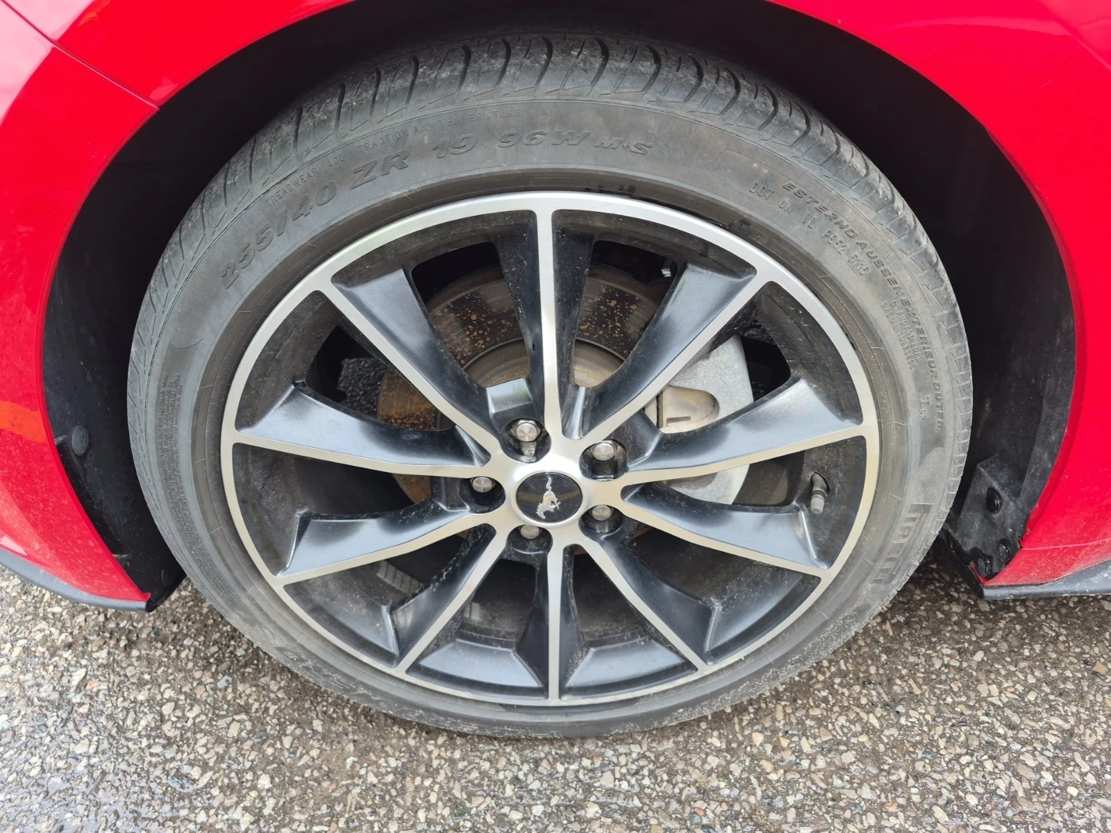 Ford Mustang Ecoboost * Обдухване * Камера * Carfax * , снимка 5 - Автомобили и джипове - 54046334