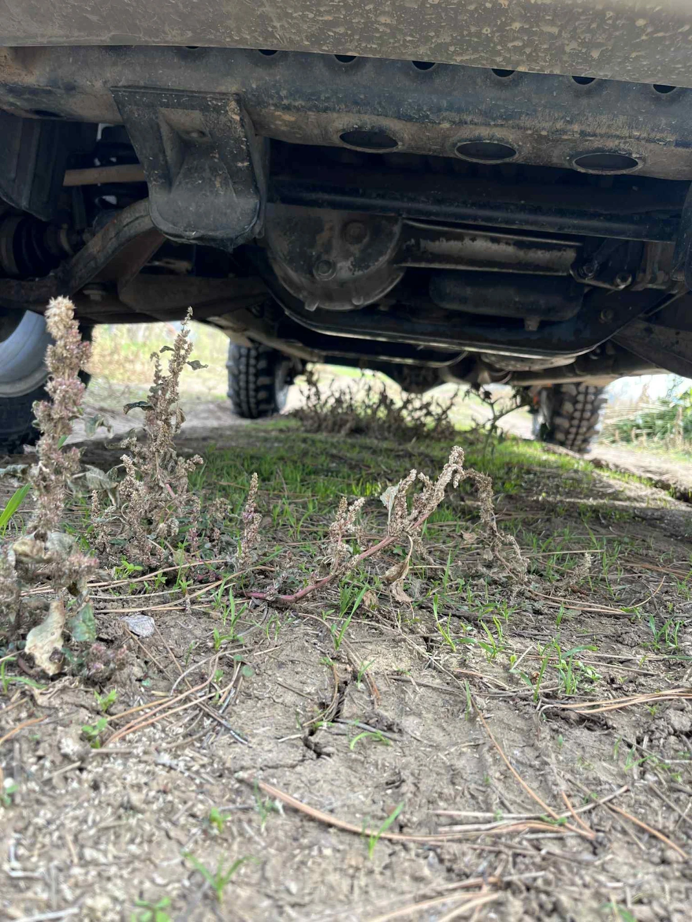 Suzuki Vitara  - изображение 9