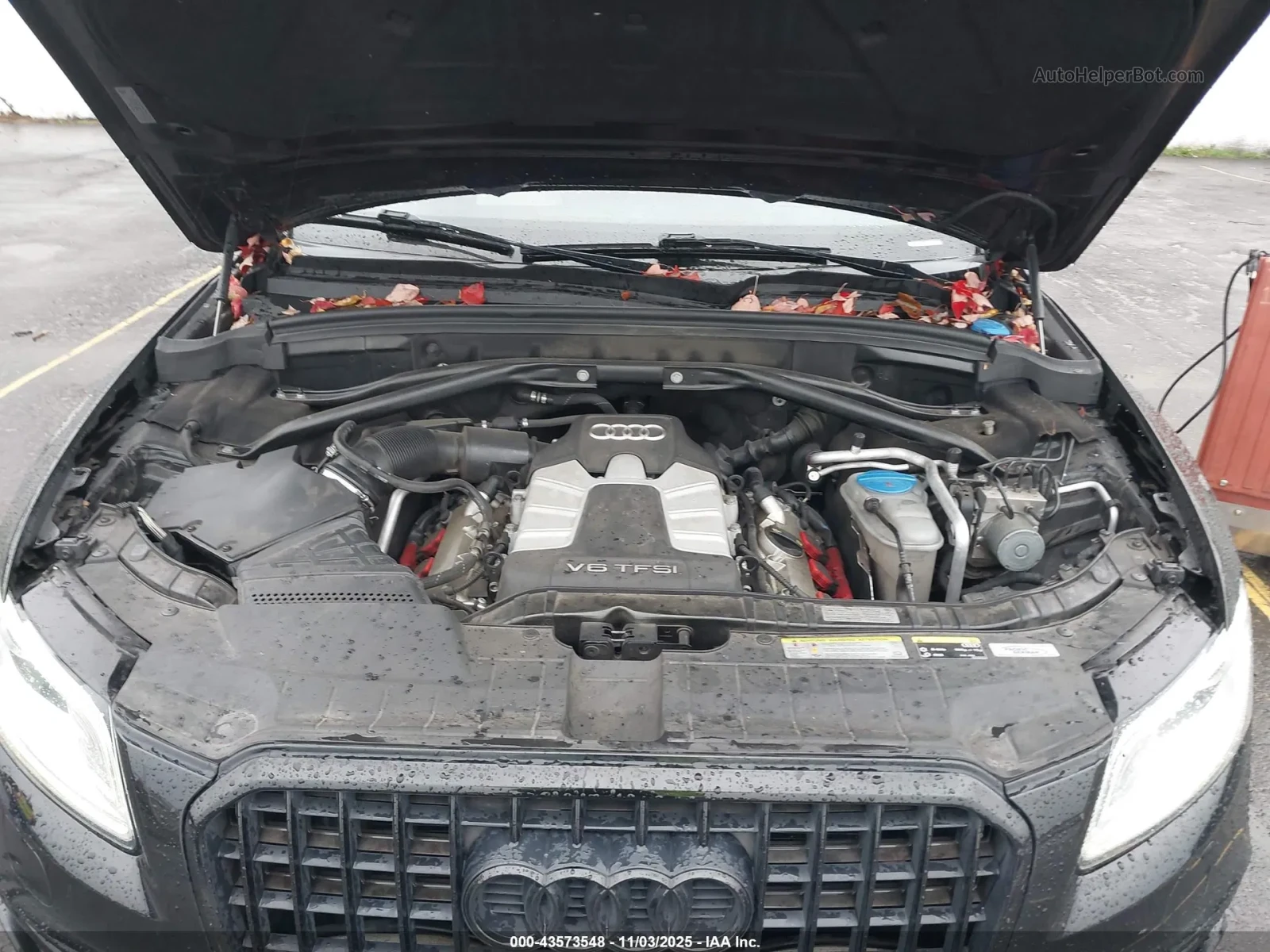 Audi SQ5 3.0T PREMIUM PLUS | Mobile.bg � ����������� 13