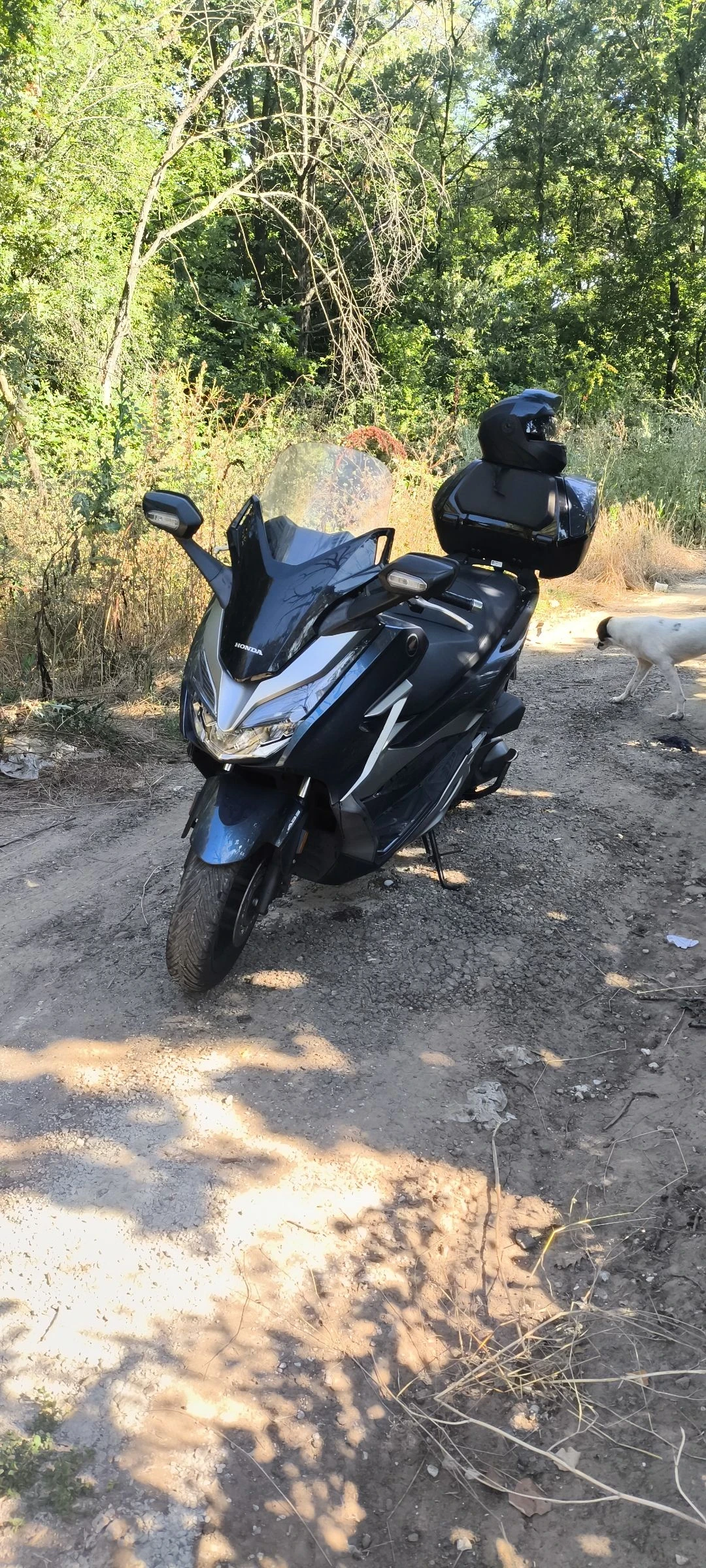 Honda Forza