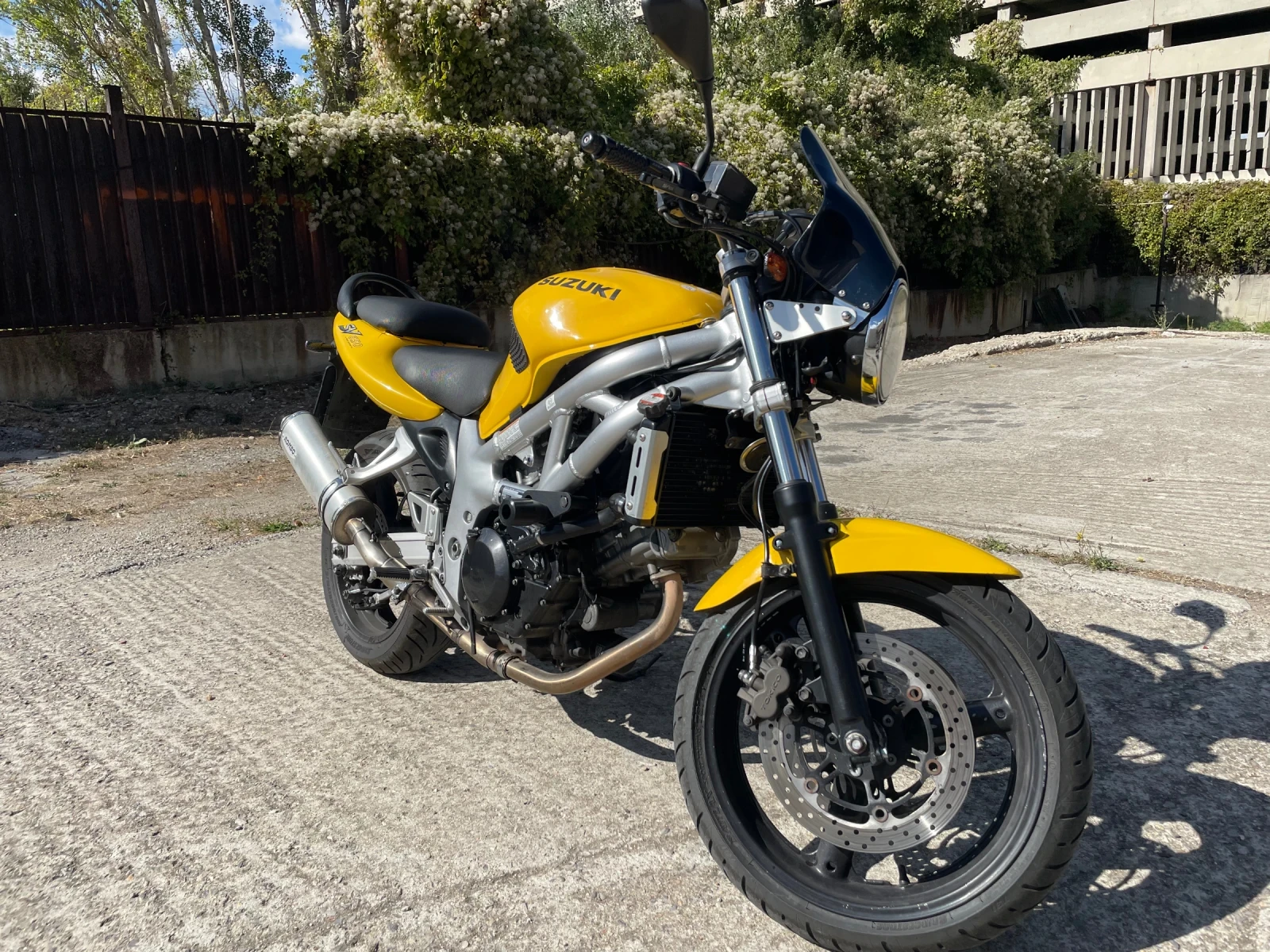 Suzuki SV, снимка 2 - Мотоциклети и мототехника - 56354416