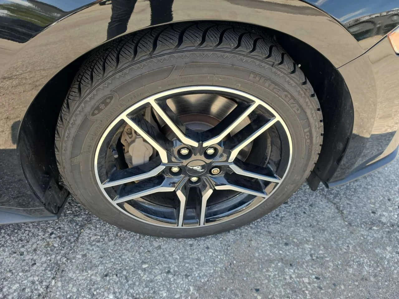 Ford Mustang * GT Premium * CARFAX * ЦЕНА ДО БГ, снимка 6 - Автомобили и джипове - 55529632