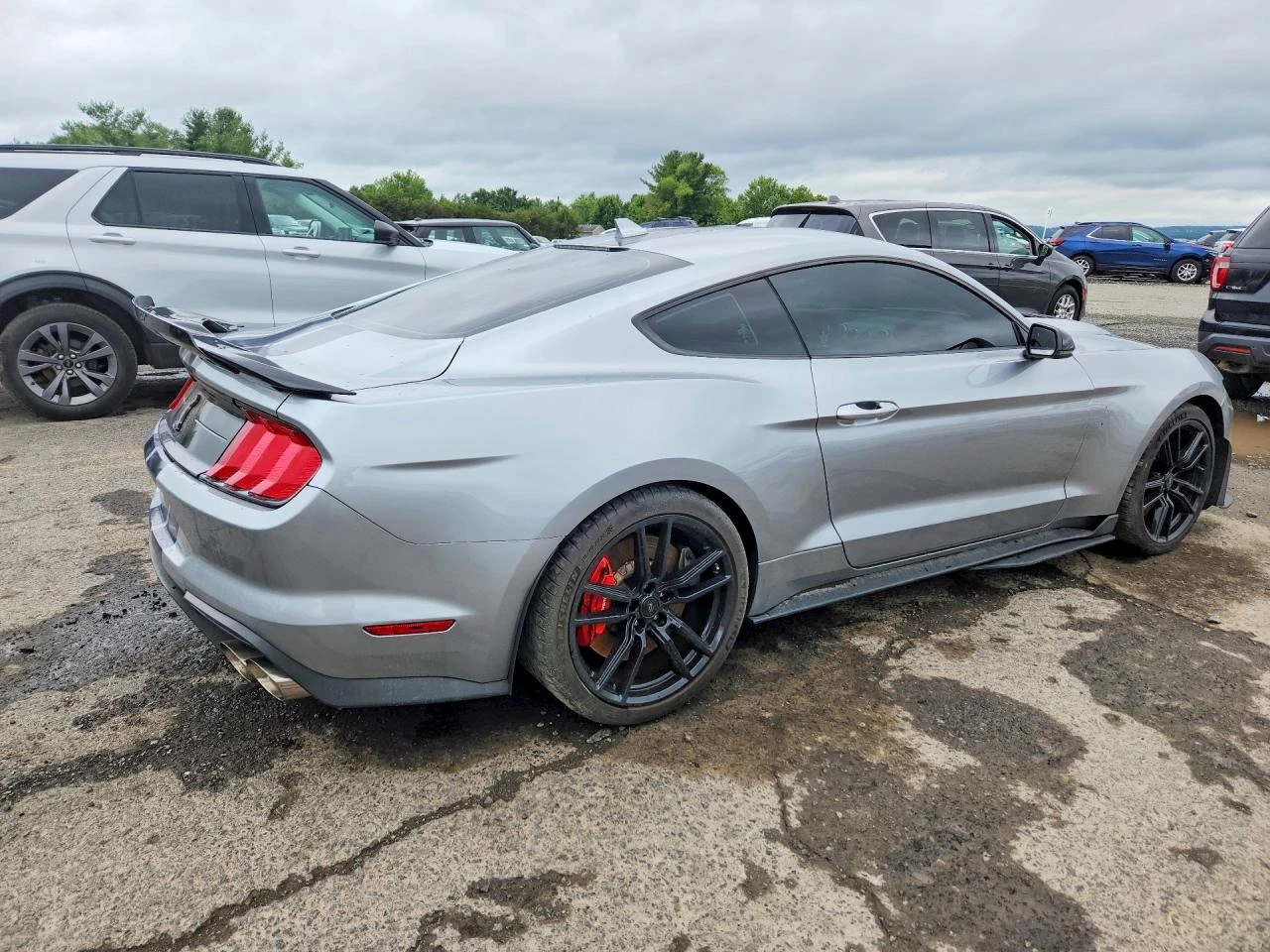 Ford Mustang 5.2L Shelby GТ500 * 360 ВИДЕО* , снимка 4 - Автомобили и джипове - 55543056