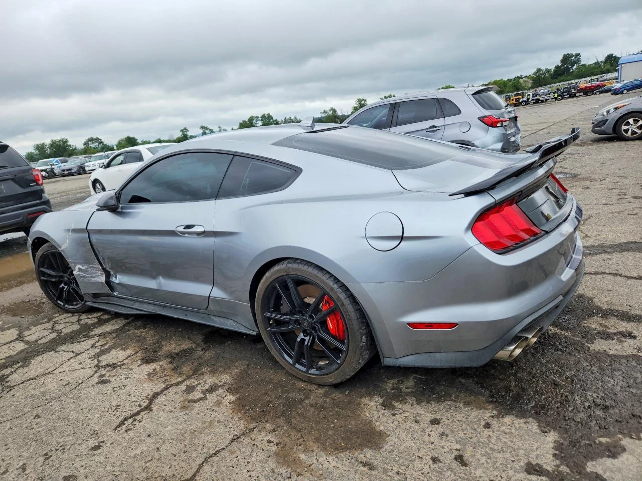 Ford Mustang 5.2L Shelby GТ500 * 360 ВИДЕО* , снимка 3 - Автомобили и джипове - 55543056