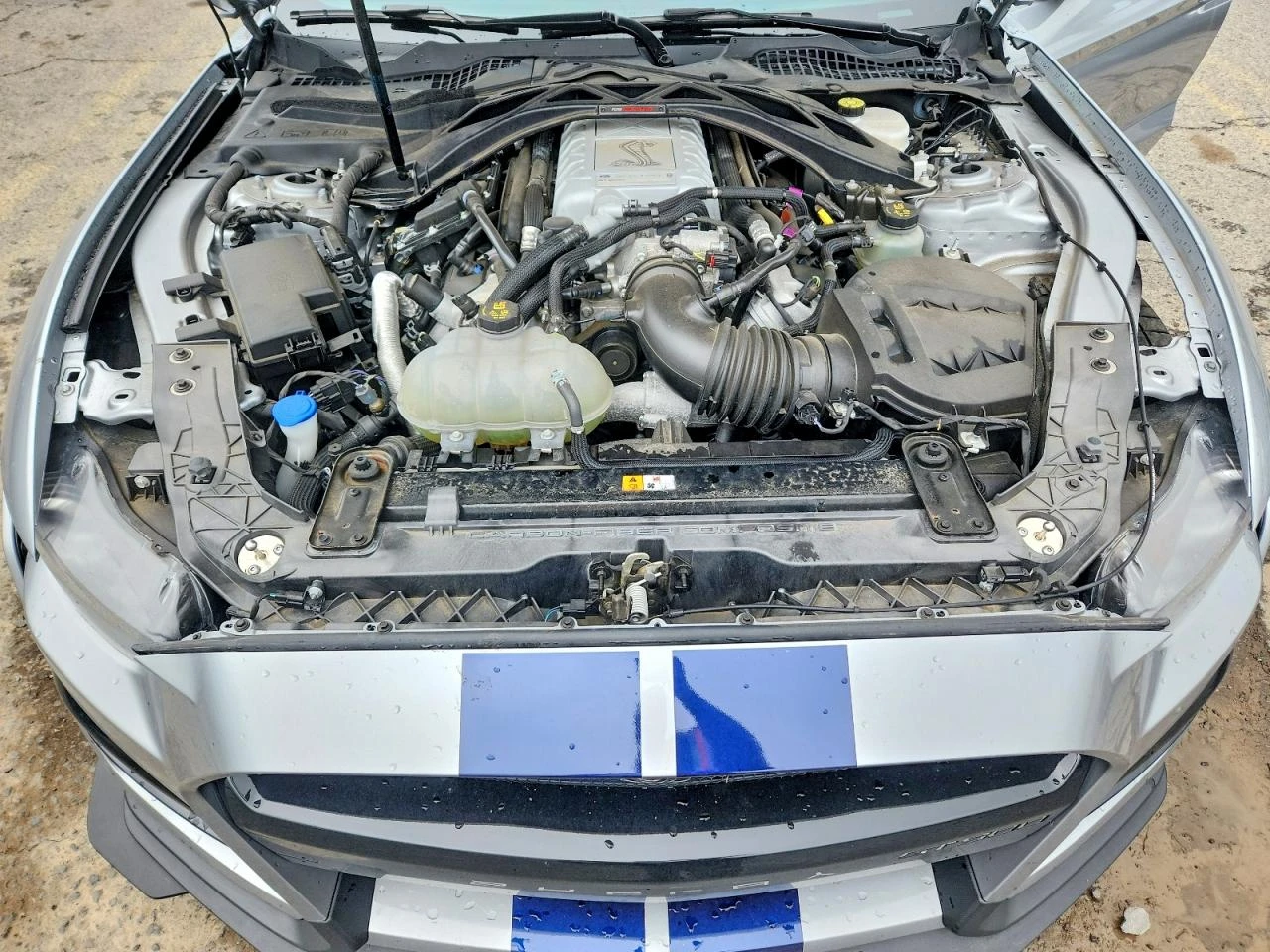 Ford Mustang 5.2L Shelby GТ500 * 360 ВИДЕО* , снимка 11 - Автомобили и джипове - 55543056