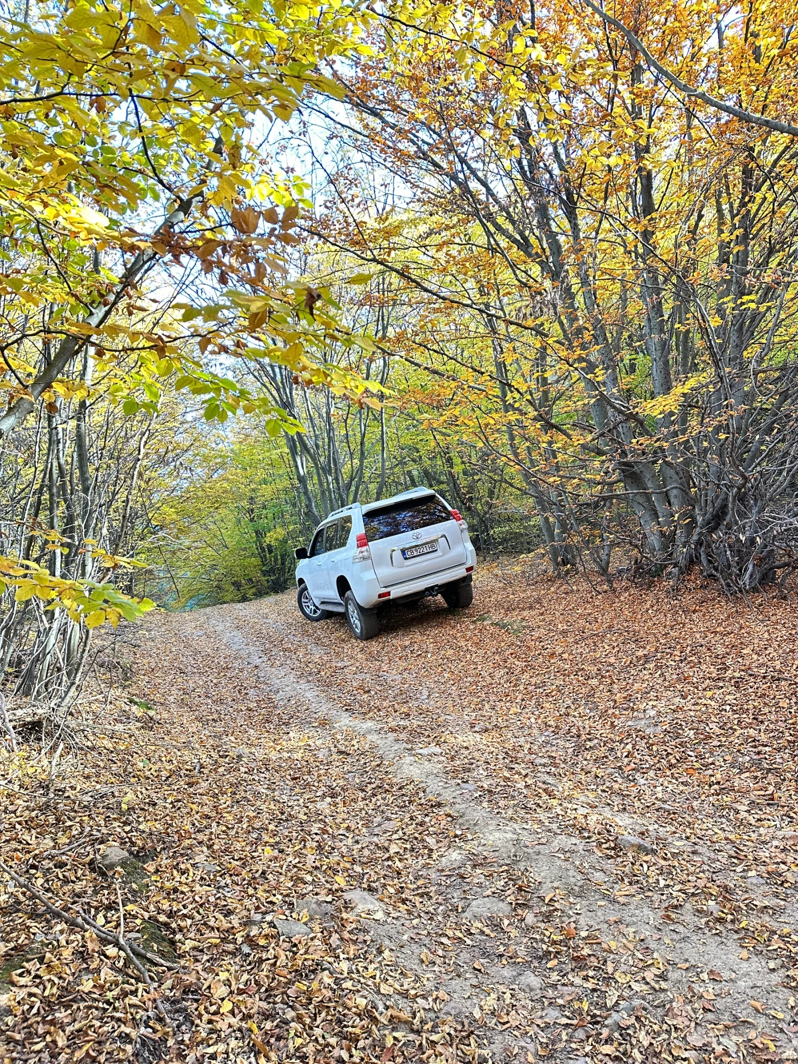 Toyota Land cruiser J150 | Mobile.bg   4