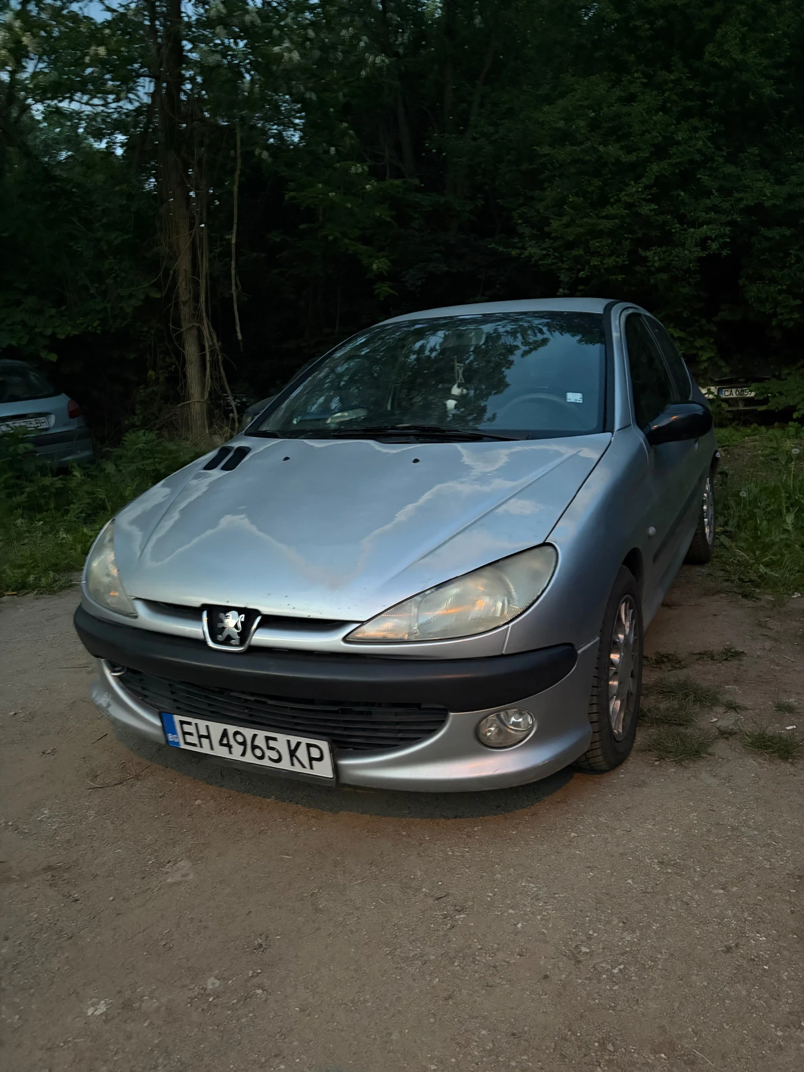 Peugeot 206 2.0HDI