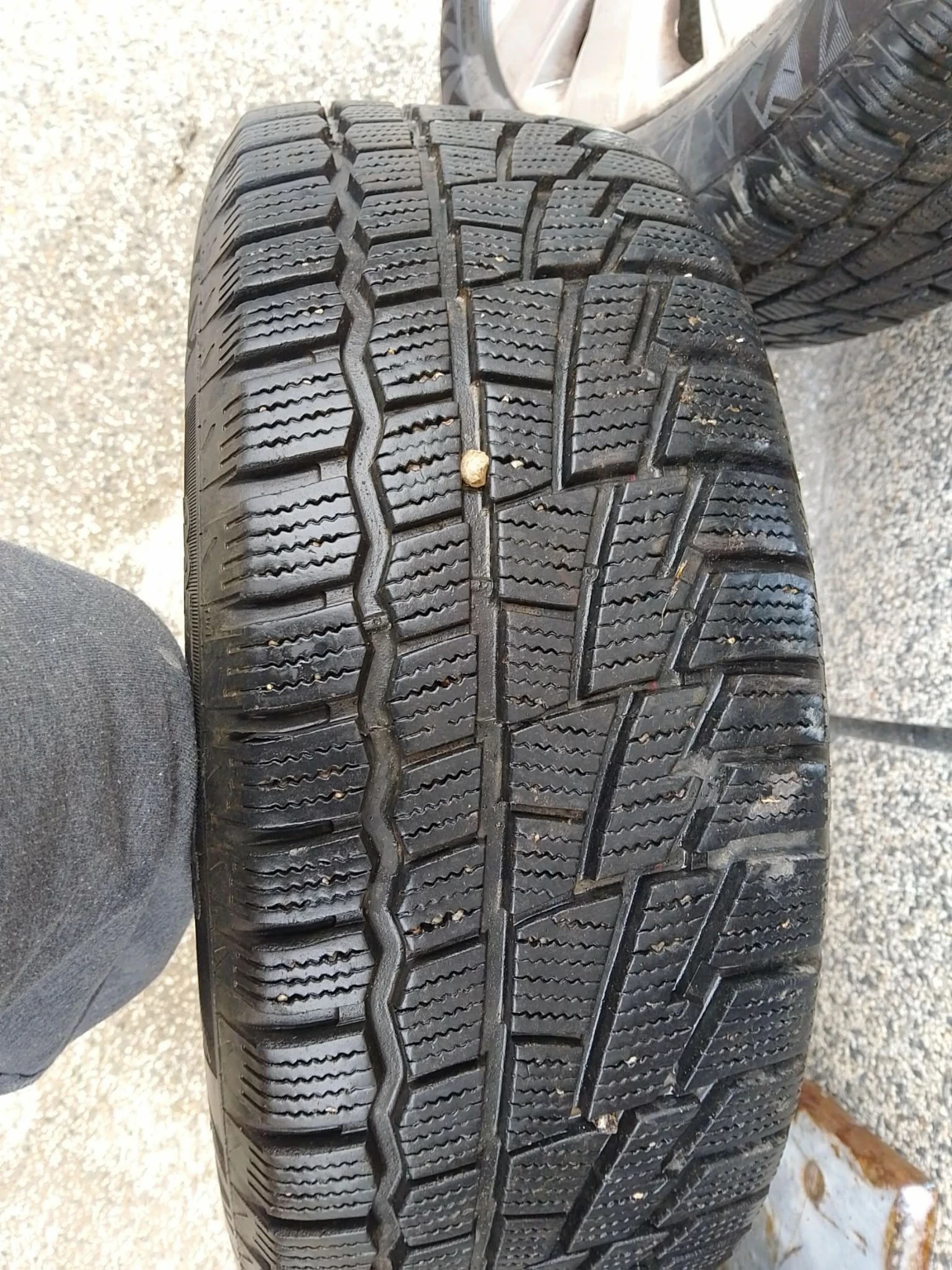 ���� � ������ 205/55R16 �� Opel Vectra | Mobile.bg � ����������� 2