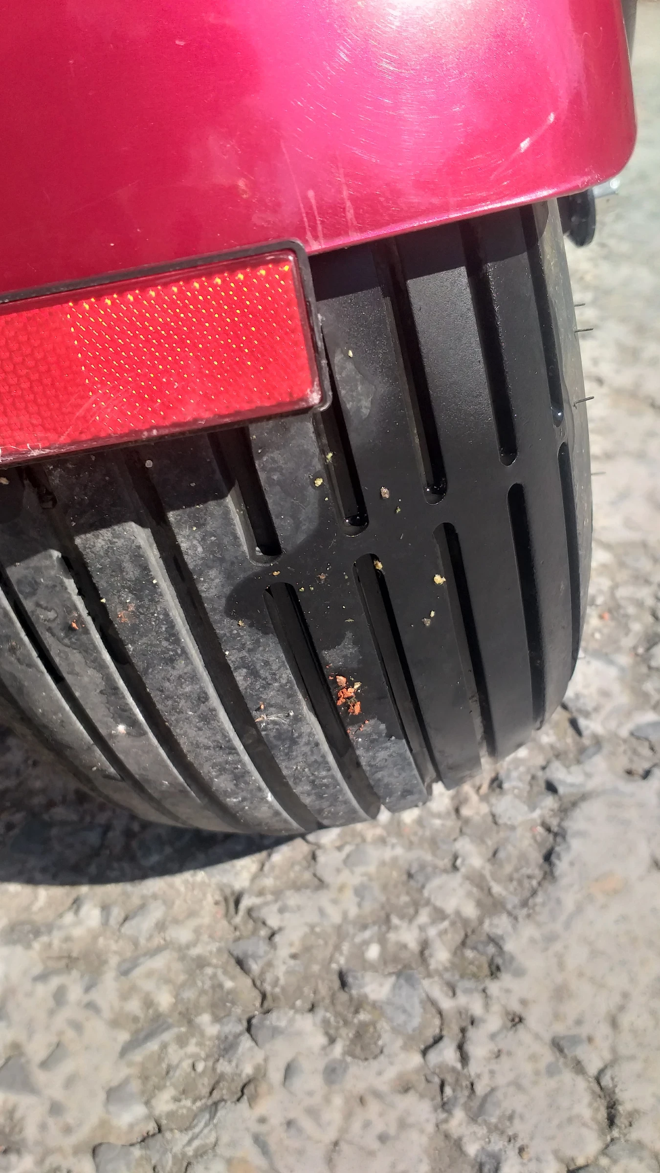 Harley-Davidson Sportster  - изображение 5