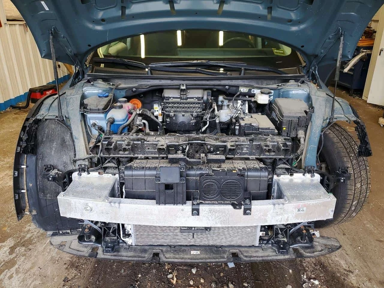 Hyundai Ioniq SE RWD / ������� ������ ����� / Carfax | Mobile.bg � ����������� 12
