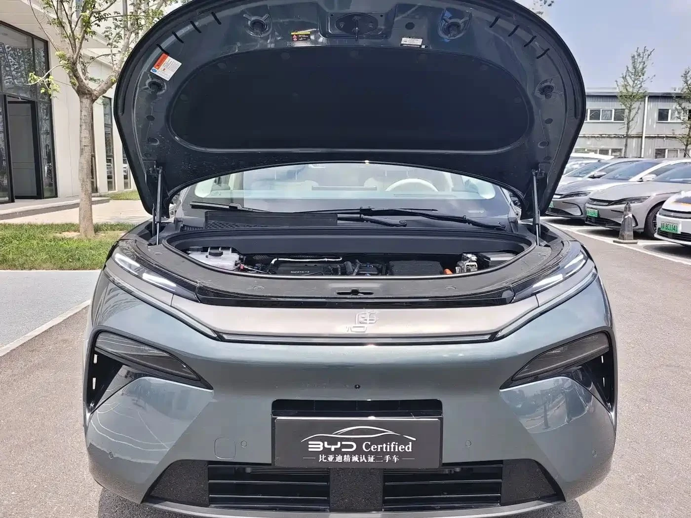 BYD Tang, снимка 5 - Автомобили и джипове - 56687003