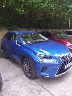 Lexus NX 300h Executive 4x4 , снимка 3