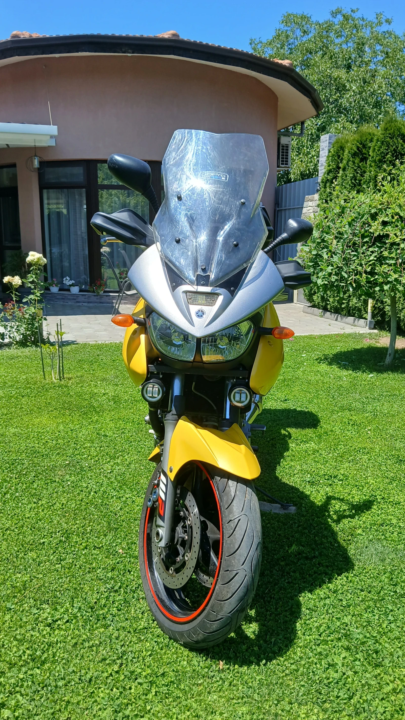 Yamaha Tdm  - изображение 6