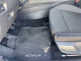 Skoda Octavia | Mobile.bg    9