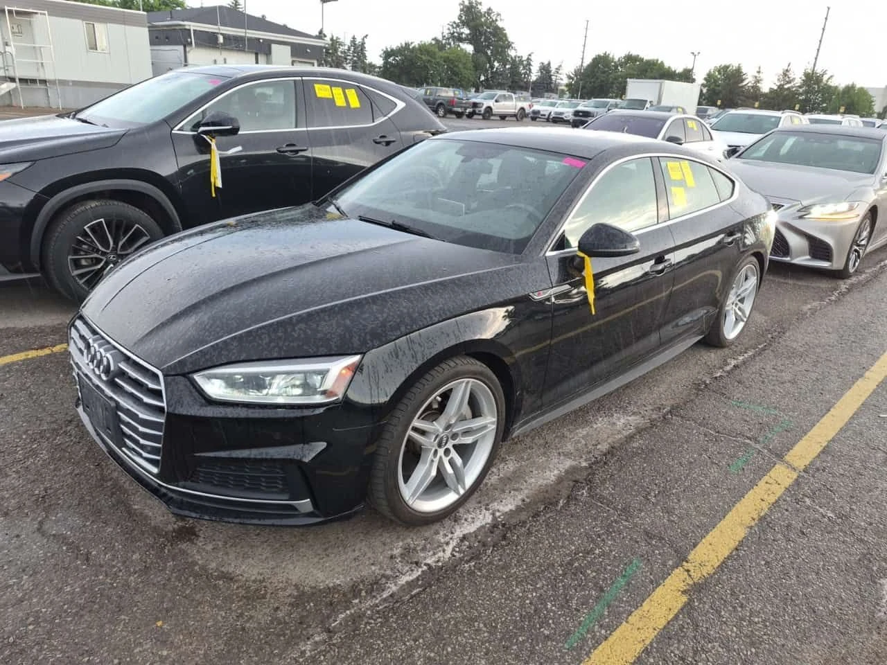 Audi A5 * PROGRESSIV * CARFAX * БЕЗ ПЪРВОНАЧАЛНА ВНОСКА