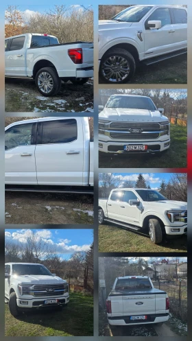 Ford F150 PLATINUM PLUS, снимка 15