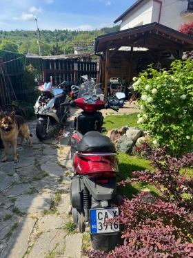 Benelli Velvet 250, снимка 3