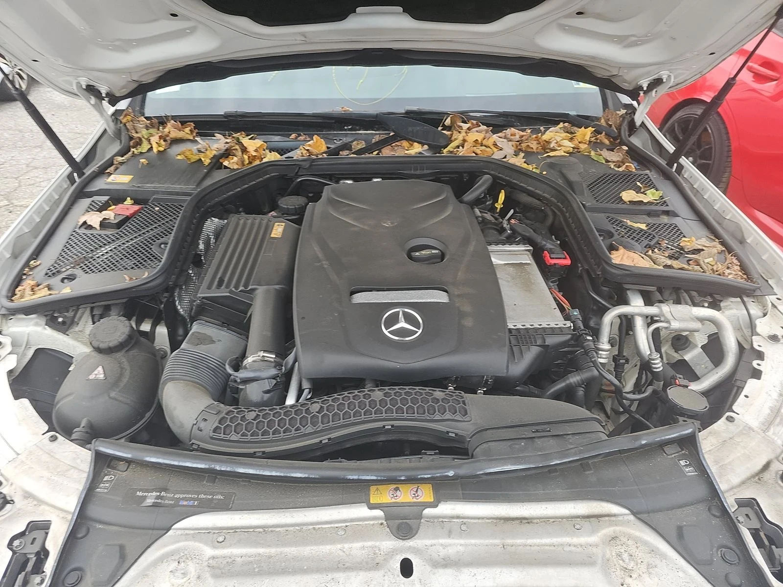 Mercedes-Benz C 300 4MATIC | AMG ����� | BURMESTER | �������� |  | Mobile.bg � ����������� 15