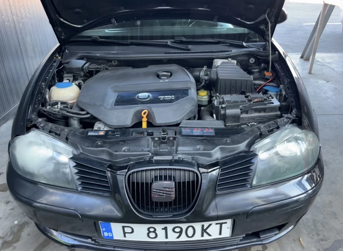 Seat Ibiza 1.9 TDI FR 131 к.с., снимка 2 - Автомобили и джипове - 56069313