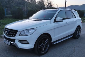 Mercedes-Benz ML 250, снимка 1