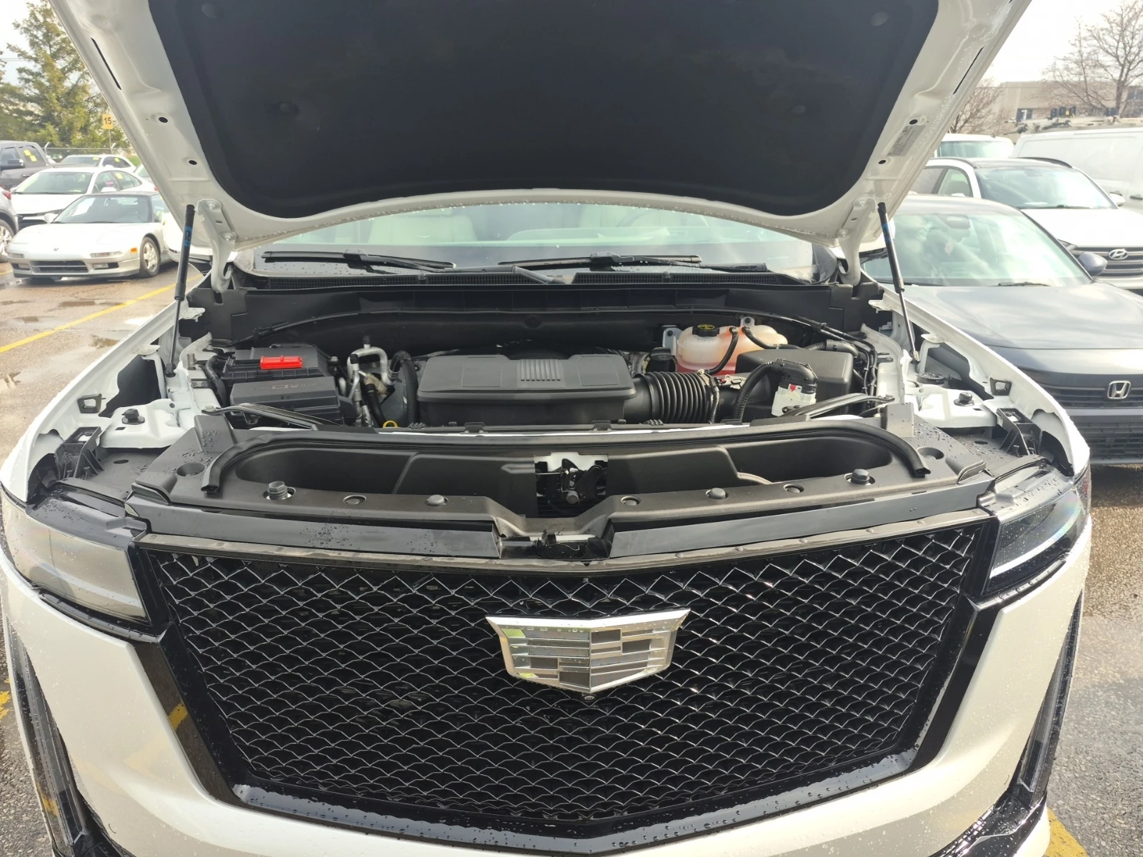 Cadillac Escalade  Sport Platinum | Mobile.bg � ����������� 3