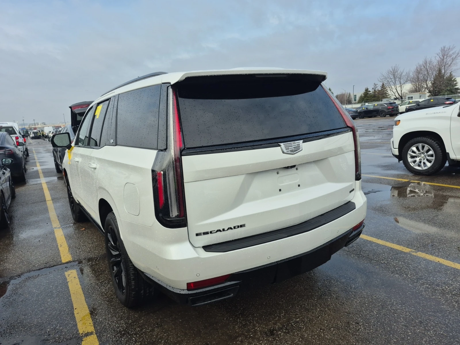 Cadillac Escalade  Sport Platinum | Mobile.bg � ����������� 6